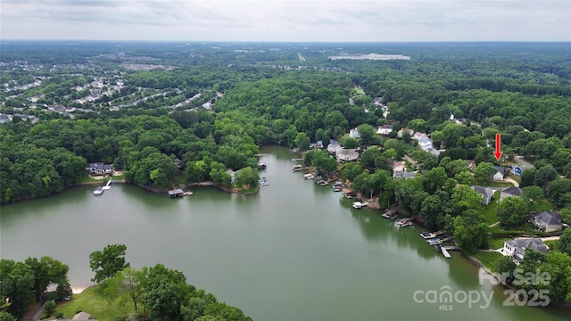 10449 Quiet Bay Ct, Charlotte, NC 28278 - drone / aerial view of a large body of water and a heavily wooded area