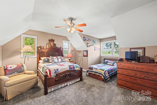 260 Smoky View Dr, Bryson City, NC 28713 - carpeted bedroom with lofted ceiling, a ceiling fan, and a textured ceiling