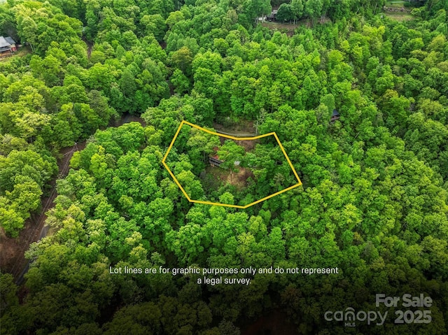 260 Smoky View Dr, Bryson City, NC 28713 - aerial view of property and surrounding area featuring property boundaries highlighted and a heavily wooded area