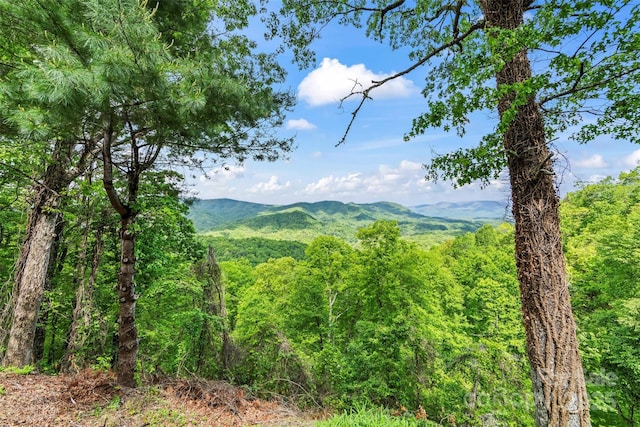 260 Smoky View Dr, Bryson City, NC 28713 - view of mountain backdrop with a heavily wooded area