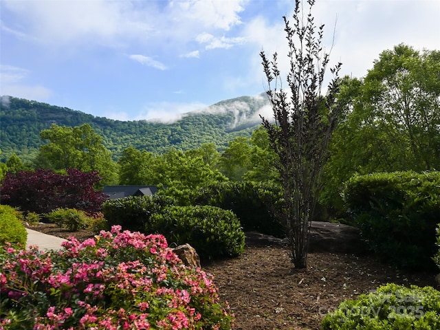 110 Village Pointe Ln, Asheville, NC 28803 - mountain view featuring a heavily wooded area