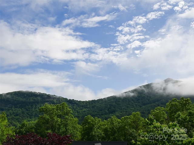 110 Village Pointe Ln, Asheville, NC 28803 - view of mountain background with a heavily wooded area