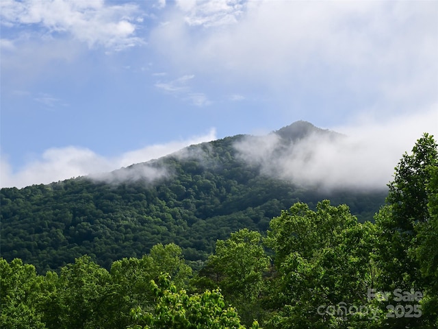 110 Village Pointe Ln, Asheville, NC 28803 - view of mountain backdrop with a forest