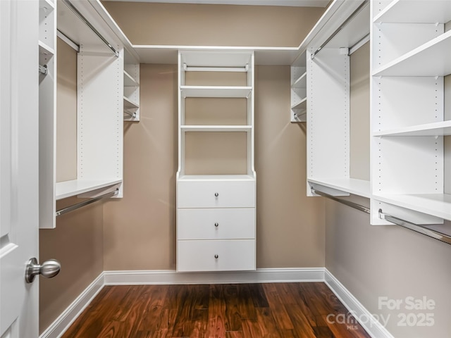 110 Village Pointe Ln, Asheville, NC 28803 - spacious closet with dark wood-type flooring