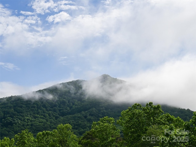 110 Village Pointe Ln, Asheville, NC 28803 - mountain view with a forest
