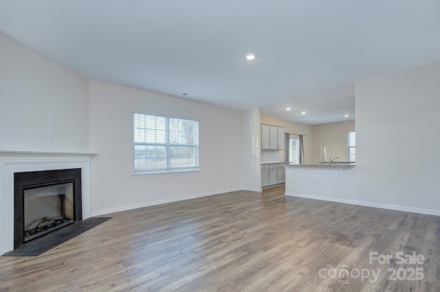 427 Carolina Hemlock Dr, Locust, NC 28097 - unfurnished living room featuring light wood-style flooring, healthy amount of natural light, baseboards, and recessed lighting
