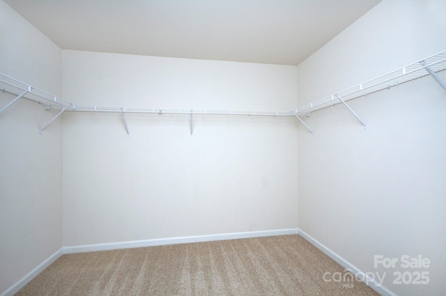 427 Carolina Hemlock Dr, Locust, NC 28097 - spacious closet with carpet floors