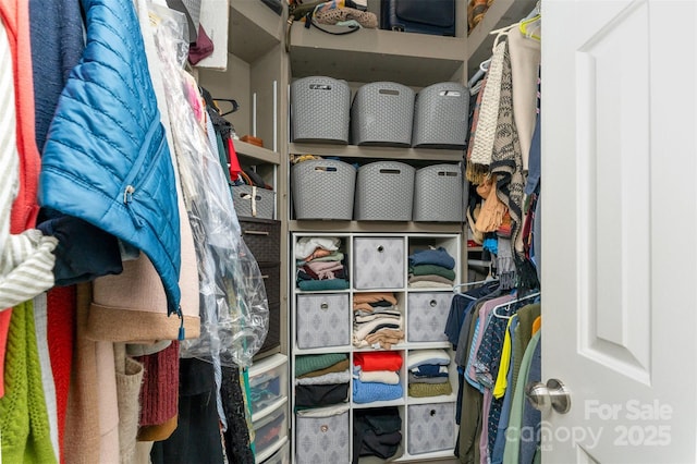 8624 Canter Post Dr, Charlotte, NC 28216 - view of walk in closet