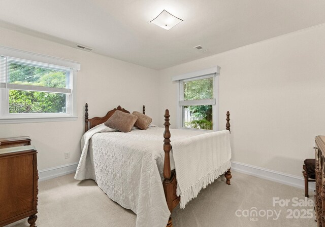 1226 Tarrington Ave, Charlotte, NC 28205 - bedroom with light carpet, multiple windows, and baseboards
