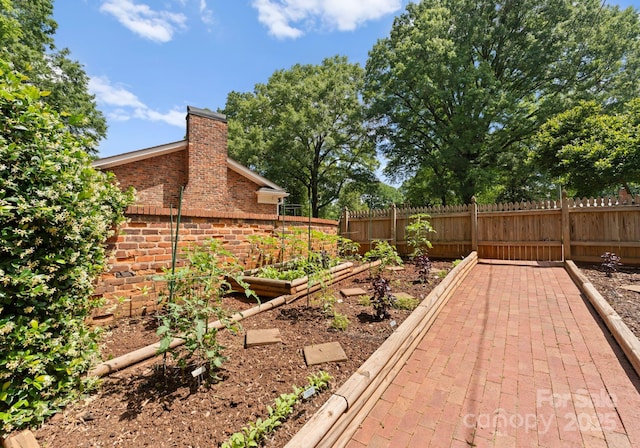 1226 Tarrington Ave, Charlotte, NC 28205 - view of yard featuring a vegetable garden
