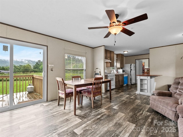 38 Kemp Rd, Pisgah Forest, NC 28768 - dining room with dark wood-type flooring and ceiling fan