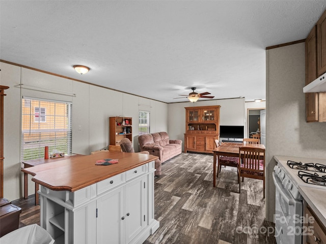 38 Kemp Rd, Pisgah Forest, NC 28768 - kitchen with white range with gas stovetop, dark wood-style floors, a ceiling fan, open floor plan, and white cabinetry