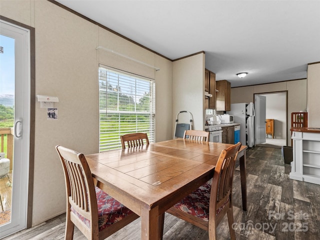 38 Kemp Rd, Pisgah Forest, NC 28768 - dining space featuring wood finished floors