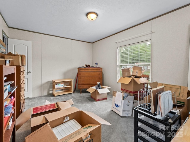 38 Kemp Rd, Pisgah Forest, NC 28768 - sitting room featuring carpet flooring and crown molding