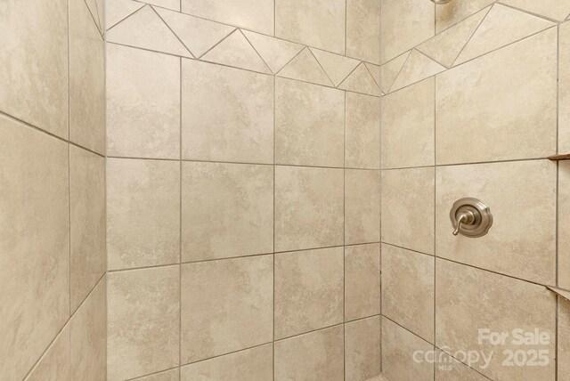 6101 Heath Ridge Ct, Charlotte, NC 28210 - bathroom view of tiled shower