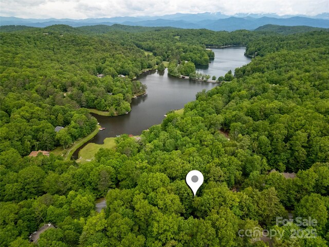 679 Soquili Dr, Brevard, NC 28712 - photo 3