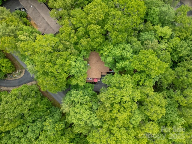 679 Soquili Dr, Brevard, NC 28712 - photo 4