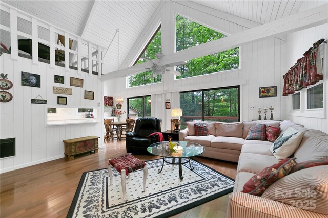 679 Soquili Dr, Brevard, NC 28712 - photo 15
