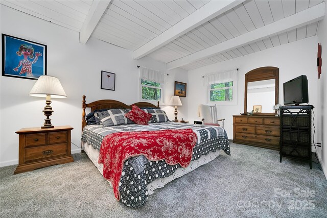 679 Soquili Dr, Brevard, NC 28712 - photo 27