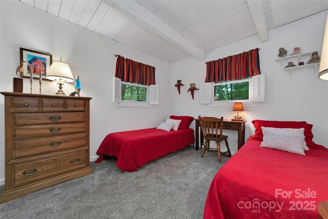 679 Soquili Dr, Brevard, NC 28712 - photo 29