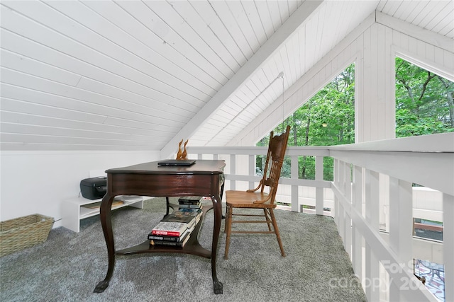679 Soquili Dr, Brevard, NC 28712 - photo 33