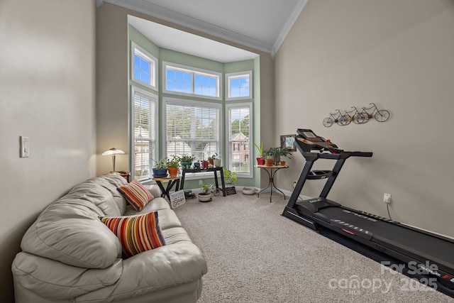 10703 Back Ridge Rd, Charlotte, NC 28277 - exercise room featuring crown molding, carpet flooring, and baseboards