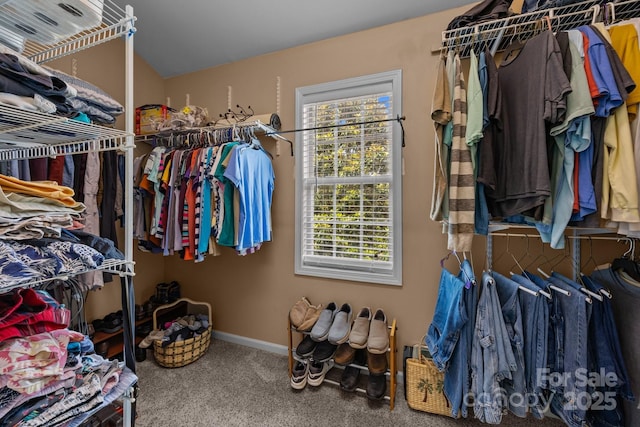 10703 Back Ridge Rd, Charlotte, NC 28277 - spacious closet featuring carpet flooring and vaulted ceiling