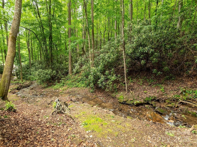 141 Creekside Dr, Maggie Valley, NC 28751 - view of woods