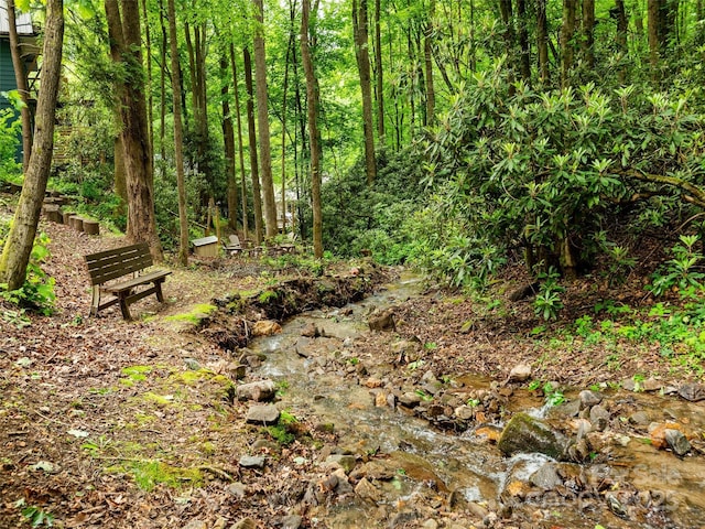141 Creekside Dr, Maggie Valley, NC 28751 - view of undeveloped land