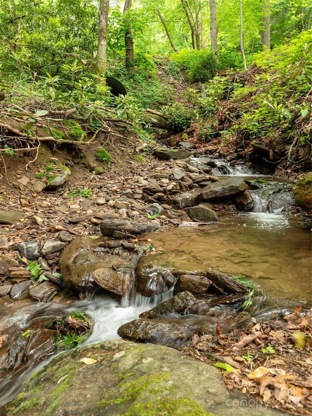 141 Creekside Dr, Maggie Valley, NC 28751 - view of undeveloped land