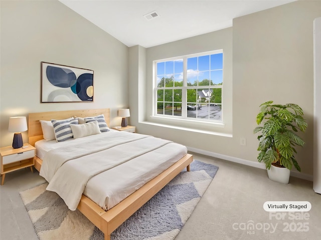 14123 Tranters Creek Ln, Charlotte, NC 28273 - carpeted bedroom with baseboards and lofted ceiling