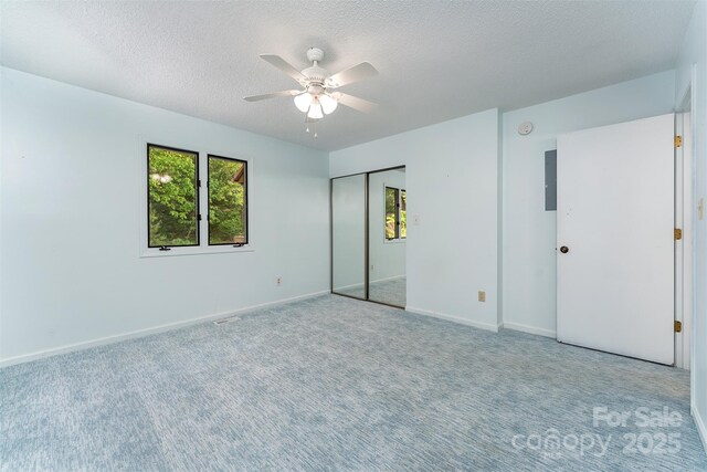 305 Piney Mountain Dr Unit D3, Asheville, NC 28805 - photo 21