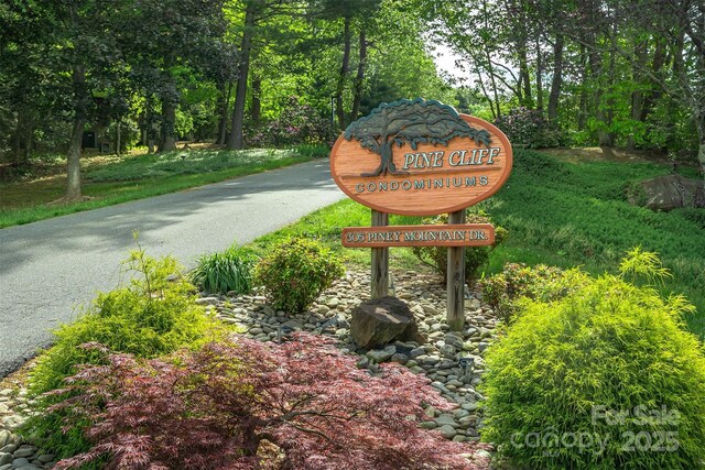 305 Piney Mountain Dr Unit D3, Asheville, NC 28805 - photo 35