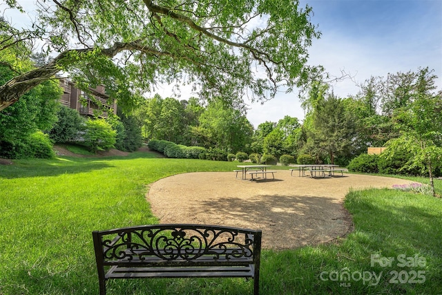 305 Piney Mountain Dr Unit D3, Asheville, NC 28805 - photo 43