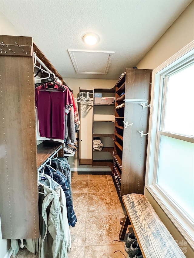 171 View Ridge Parkway, Leicester, NC 28748 - walk in closet with attic access