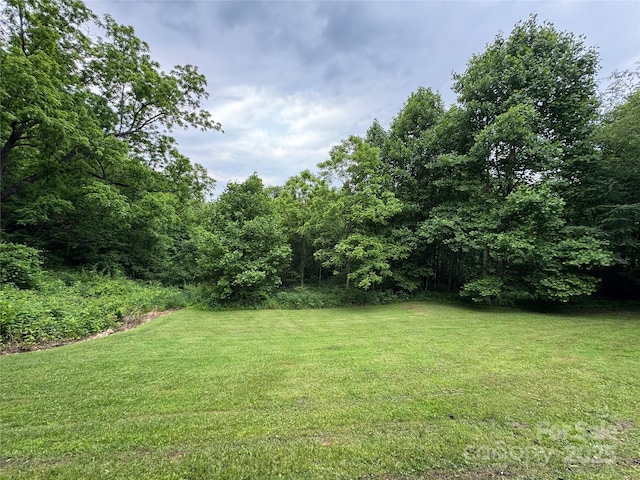 171 View Ridge Parkway, Leicester, NC 28748 - view of green lawn featuring a forest view