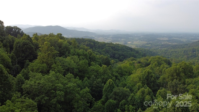 171 View Ridge Parkway, Leicester, NC 28748 - view of mountain backdrop with a forest