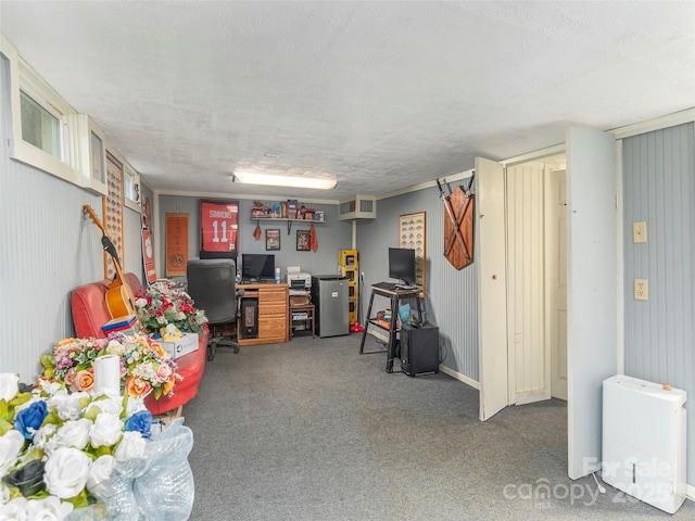 78 Hardin Ln, Clyde, NC 28721 - home office with carpet