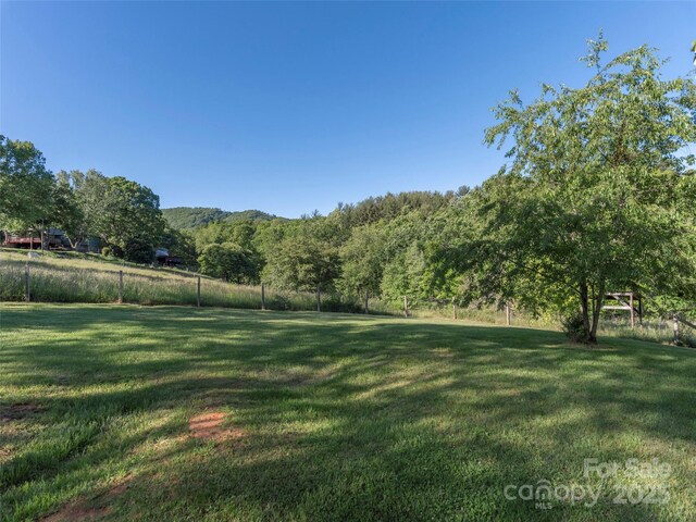 78 Hardin Ln, Clyde, NC 28721 - view of yard featuring a view of rural / pastoral area and a forest view
