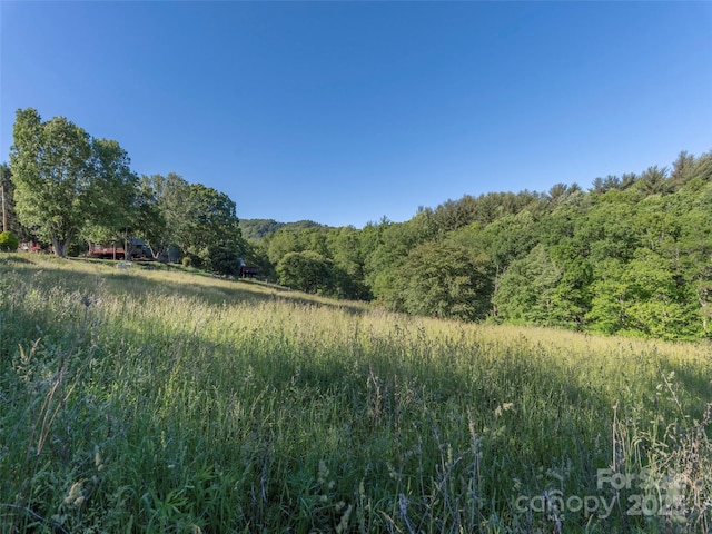 78 Hardin Ln, Clyde, NC 28721 - view of tree filled area