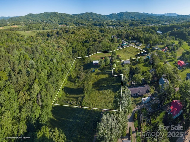 78 Hardin Ln, Clyde, NC 28721 - aerial view of property and surrounding area featuring a forest, property parcel outlined, and mountains
