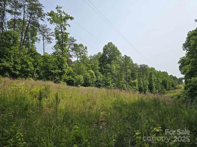 LOT26 Grandview Dr Unit 26, Rutherfordton, NC 28139 - photo 2