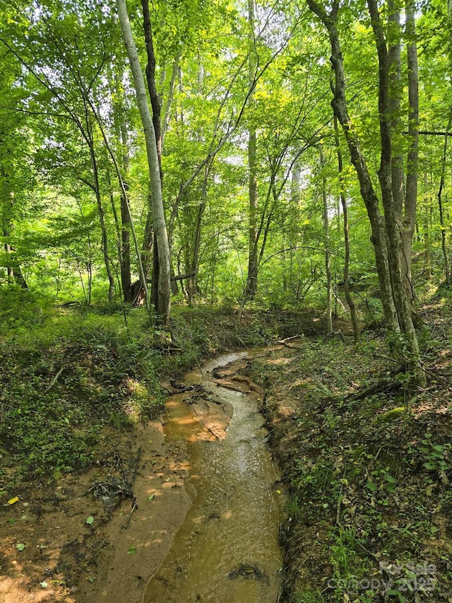 LOT26 Grandview Dr Unit 26, Rutherfordton, NC 28139 - photo 4