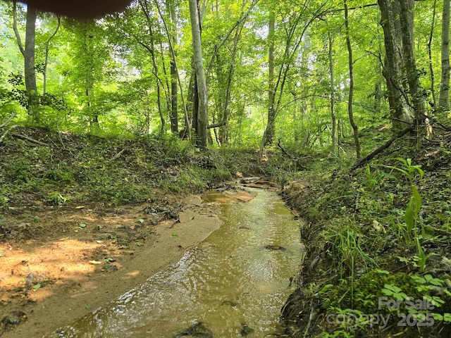 LOT26 Grandview Dr Unit 26, Rutherfordton, NC 28139 - photo 5