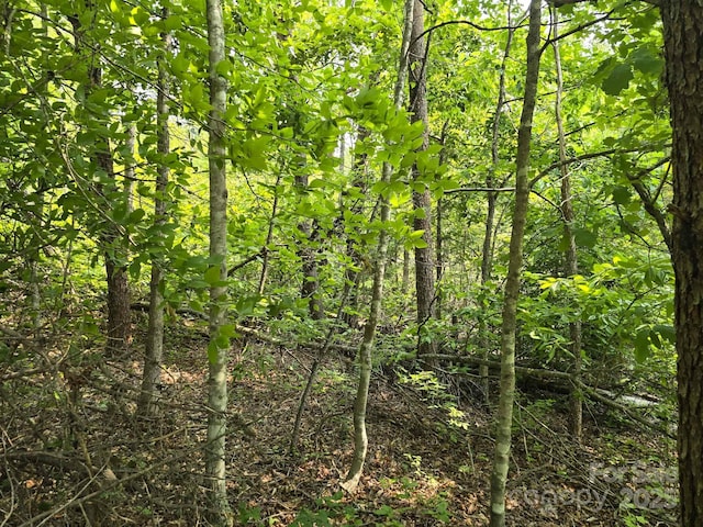 LOT26 Grandview Dr Unit 26, Rutherfordton, NC 28139 - photo 7