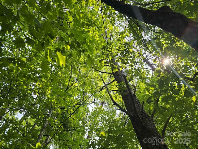 LOT26 Grandview Dr Unit 26, Rutherfordton, NC 28139 - photo 8