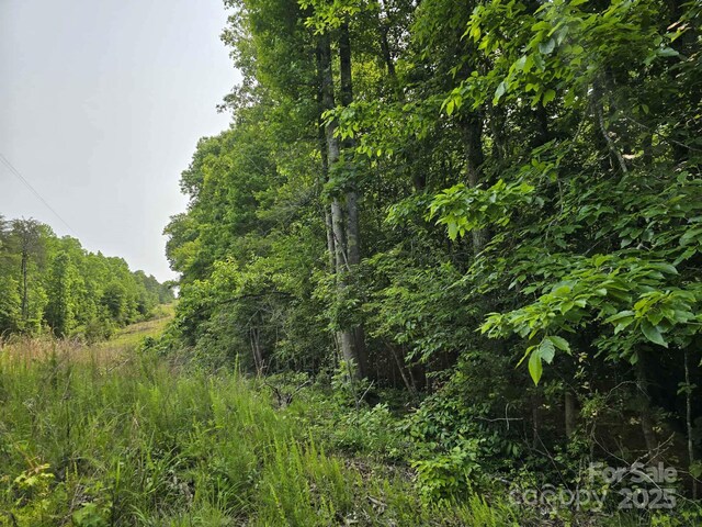 LOT26 Grandview Dr Unit 26, Rutherfordton, NC 28139 - photo 9