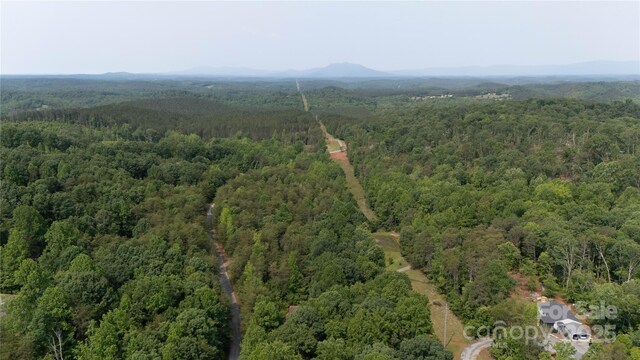 LOT26 Grandview Dr Unit 26, Rutherfordton, NC 28139 - photo 15