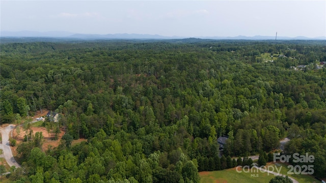 LOT26 Grandview Dr Unit 26, Rutherfordton, NC 28139 - photo 18