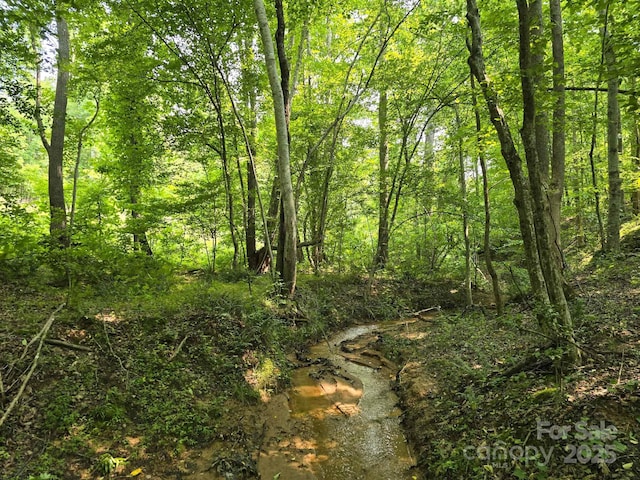 LOT26 Grandview Dr Unit 26, Rutherfordton, NC 28139 - photo 19